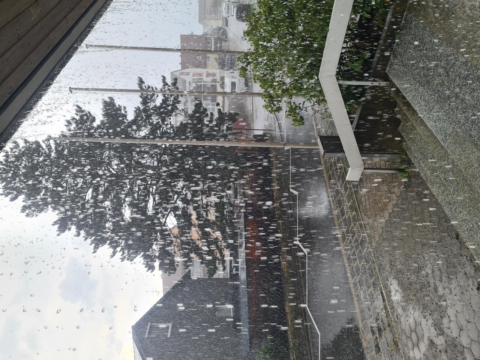 20260717_172123.jpg